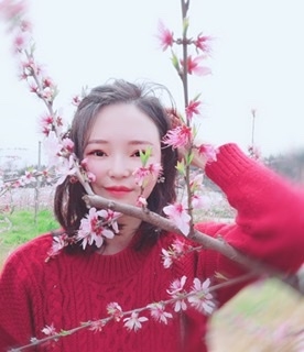 小桌子的第一张照片--湖南王婆说媒